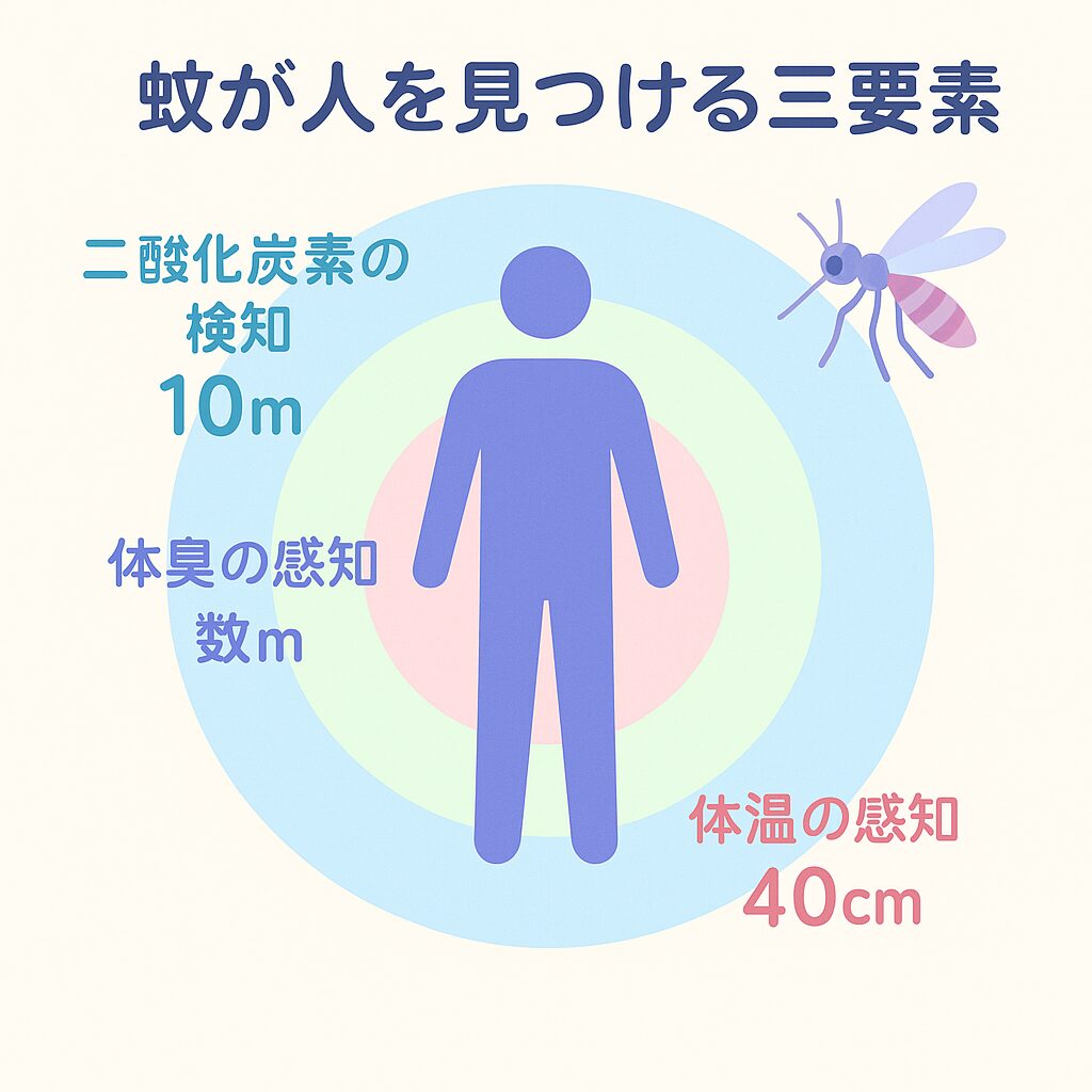 虫よけ対策で失敗しない！プロが教える正しい使い方