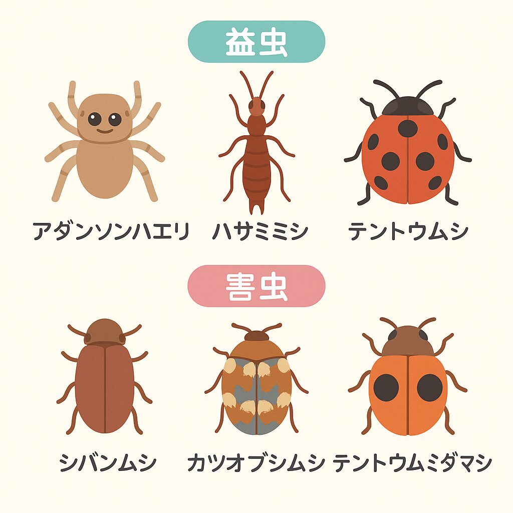 家の中で見つけても大丈夫な虫たち