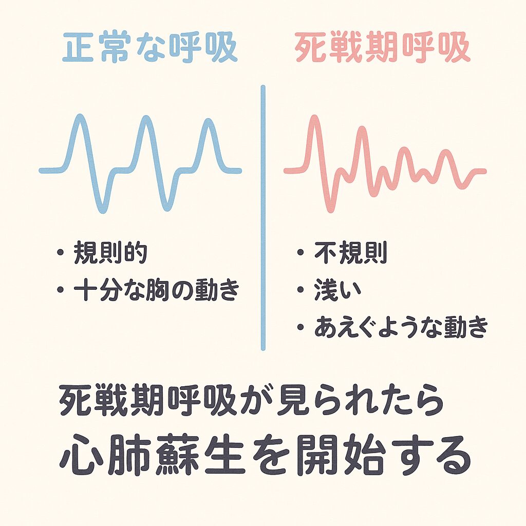 応急処置の迷信と真実