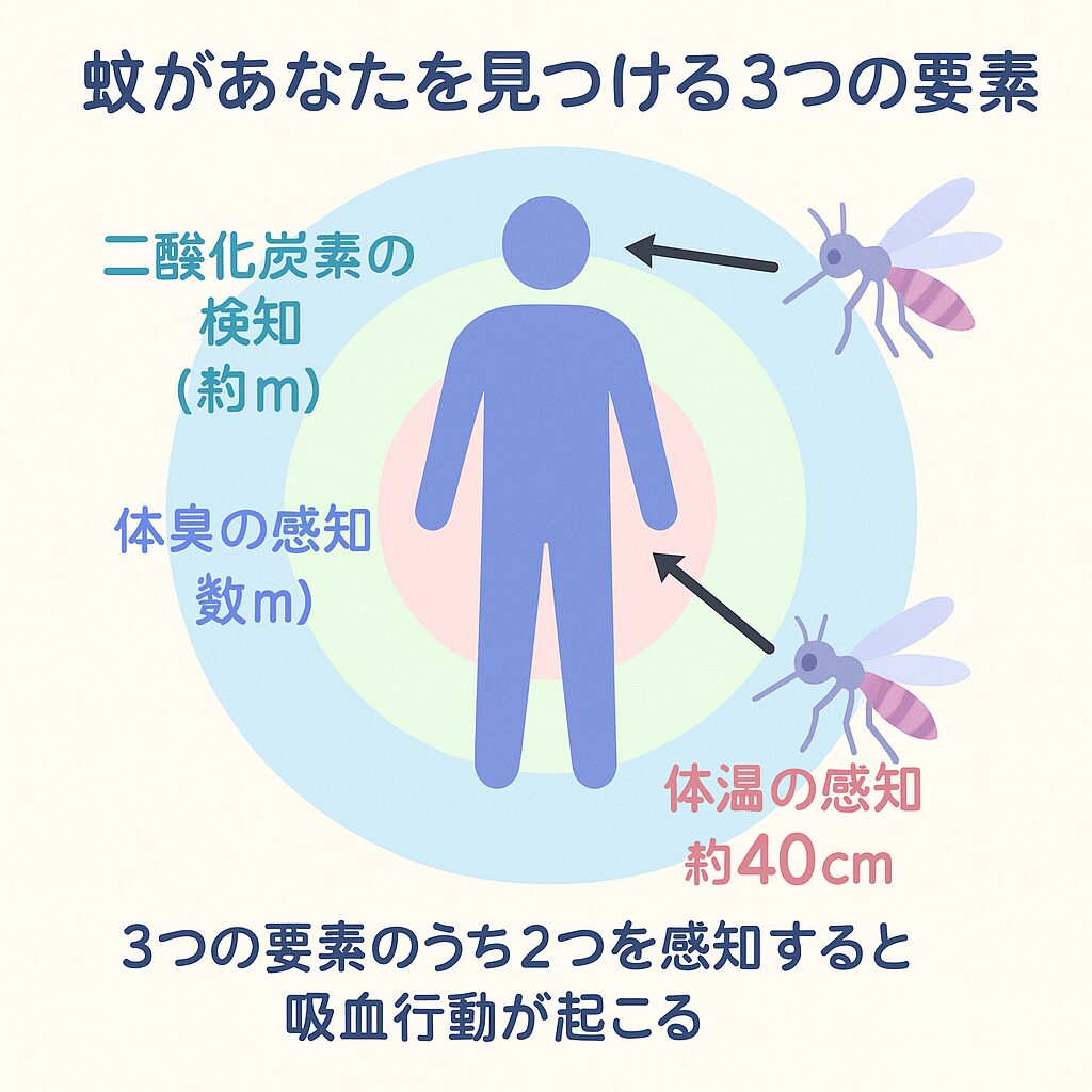 虫よけ対策で失敗しない！プロが教える正しい使い方