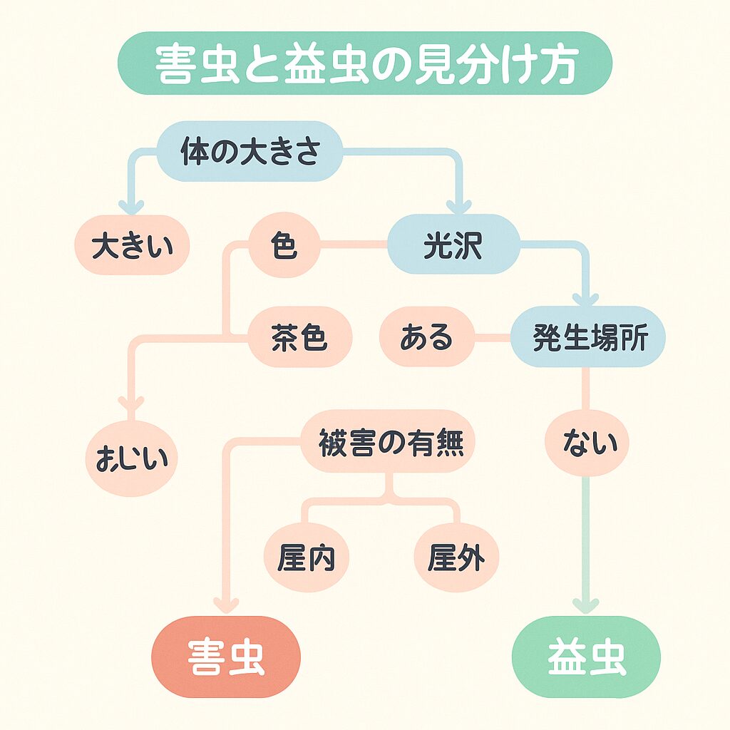家の中で見つけても大丈夫な虫たち