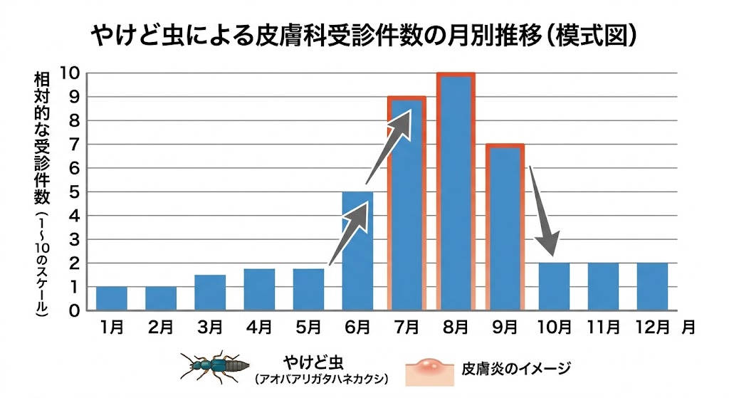 やけど虫被害の発生状況