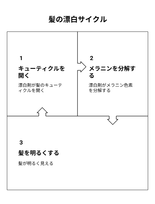 ブリーチとは？色素が抜ける仕組み